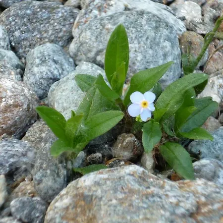 Lägenhet Landhaus Strickenmacher *