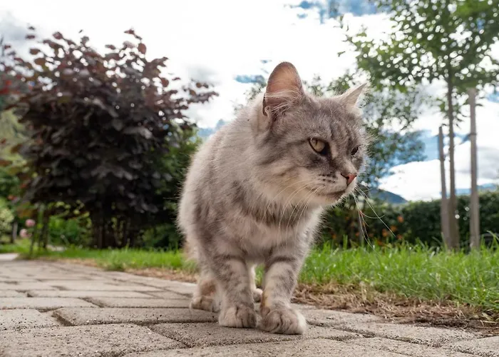 Landhaus Strickenmacher Lägenhet