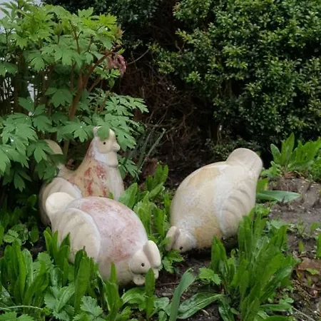 Landhaus Strickenmacher Апартаменты *